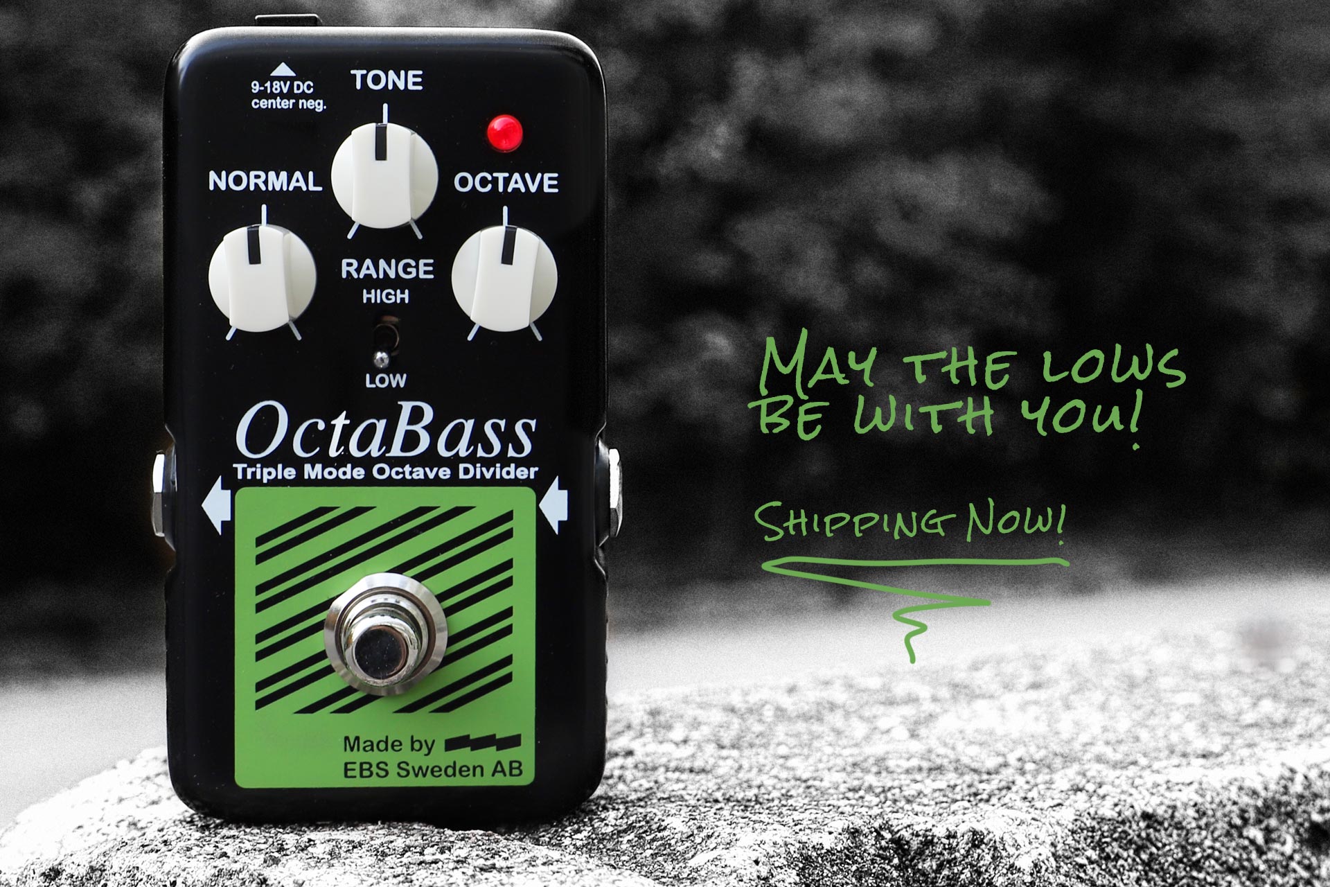 EBS OCTABASS BLUE LABEL - 原音から1オクターブ下の音を