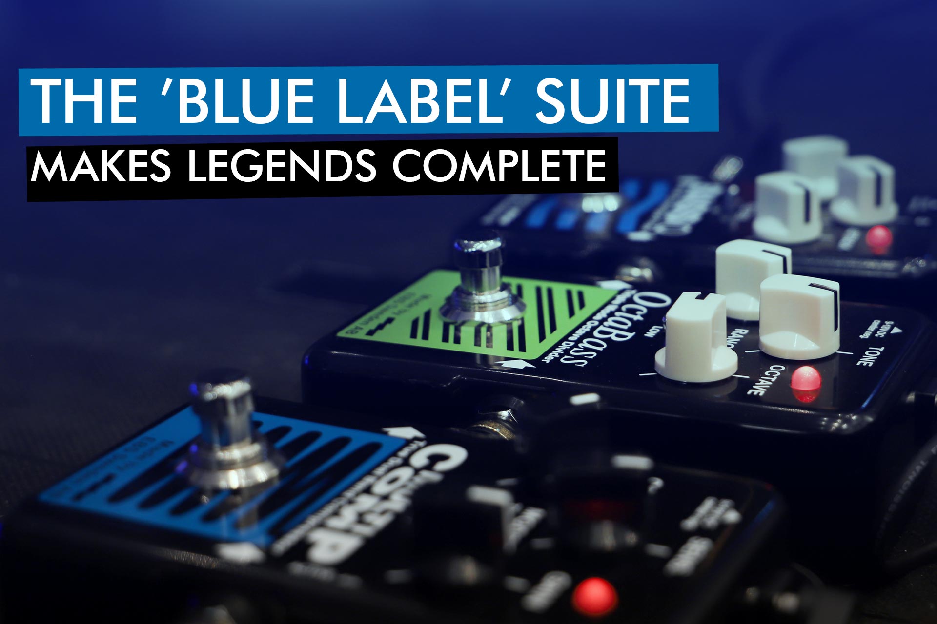 EBS MultiComp Blue Label - EBS Professional Bass Equipment